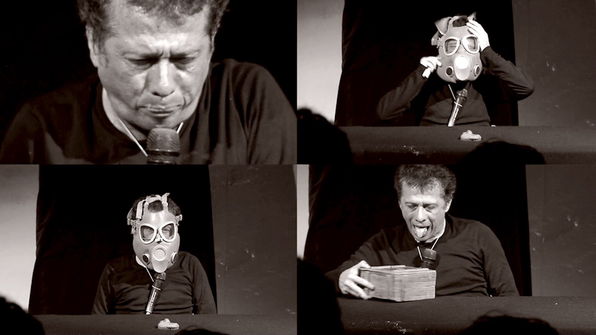 La Mosca - Promo Festival